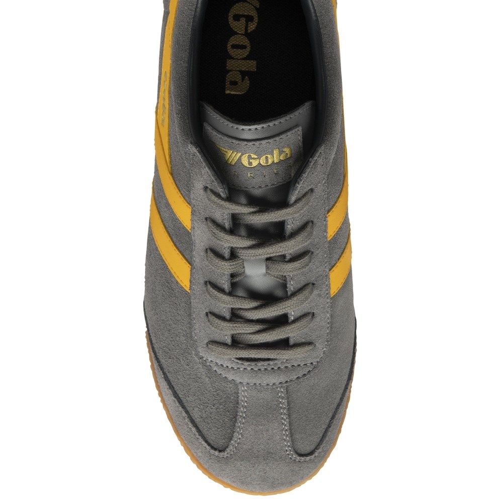 Gola Classics Men's Harrier Suede Sneakers - Ash/Sun/Navy